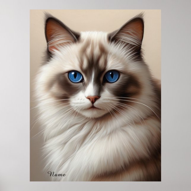 Poster Encantador Ragdoll Cat Art Pet Lover (Frente)