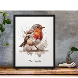 Poster Encantadora Robin, costume