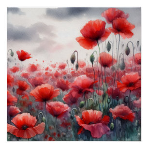 Pôster Encantando Campo de Poppies