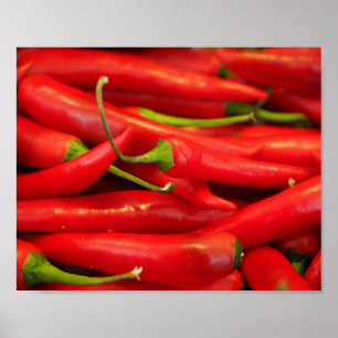 Poster encarnado da pimenta de pimentão