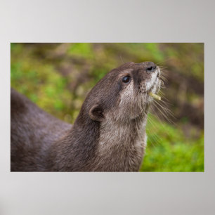 Poster Encerrando o Stick