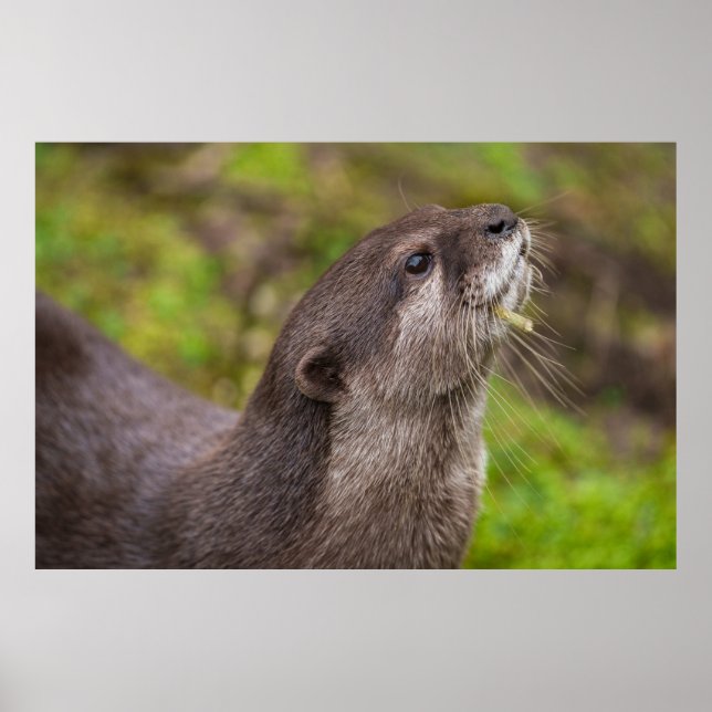 Poster Encerrando o Stick (Frente)