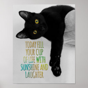 Poster Encha seu copo de citações inspiradores do gato