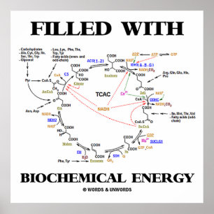 Poster Enchido com a energia bioquímica (ciclo de Krebs)