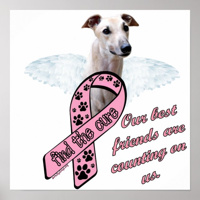 Poster Encontre a Cura ~ Asas (Frente)