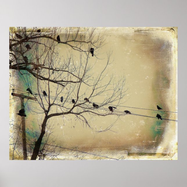 Pôster Encontre-se (Frente)