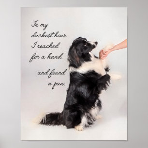 Poster Encontrei uma pata