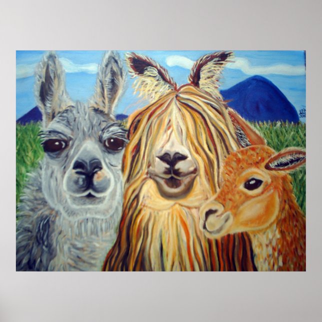 POSTER ENCONTRO COM LLAMAS:LLAMA,ALPACA,VICUNA!! (Frente)