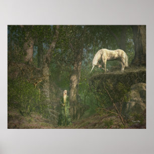 Pôster Encontro da floresta