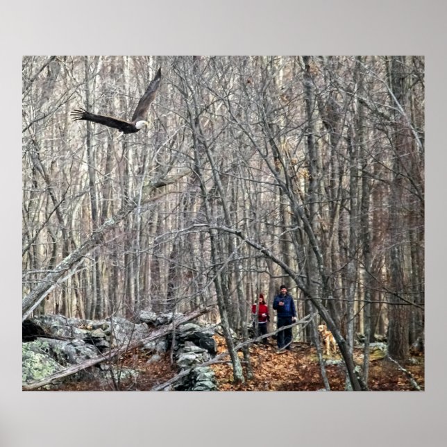 Pôster Encontro de Águia Balda (Frente)