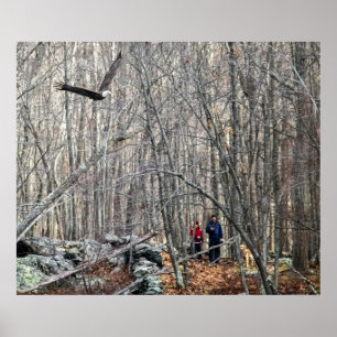 Pôster Encontro de Águia Cálida