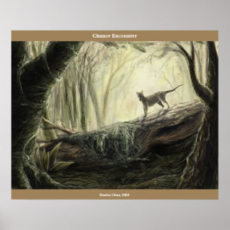 Pôster Encontro de Chance