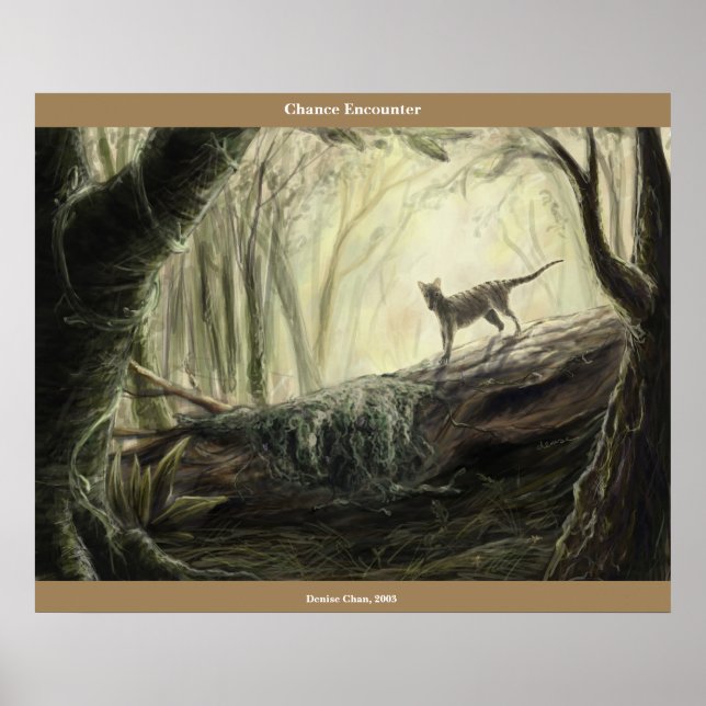 Pôster Encontro de Chance (Frente)