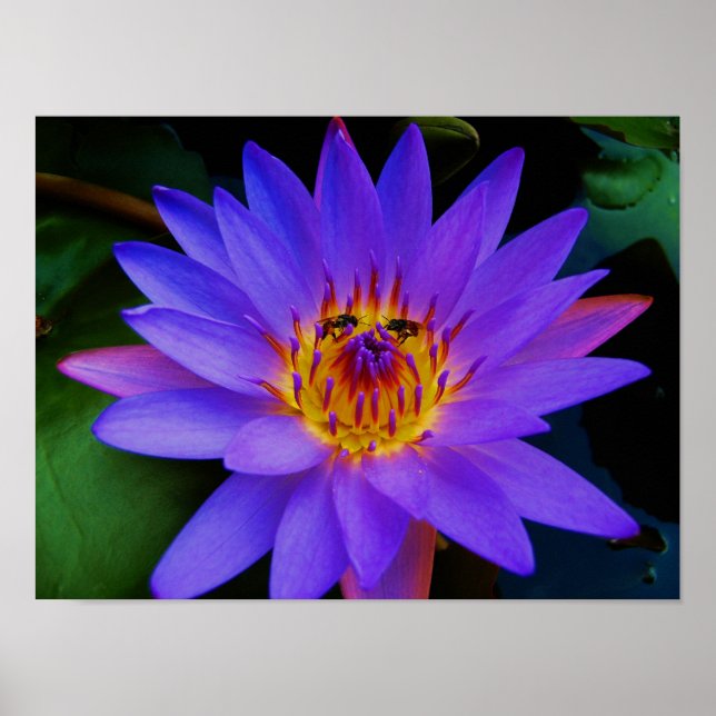 Poster Encontro Secreto (Frente)