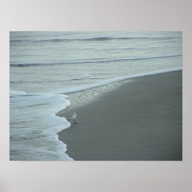 Pôster Encostando o Fractal (Frente)