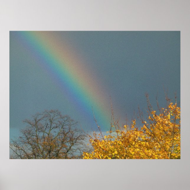 Poster End of the Rainbow (Frente)