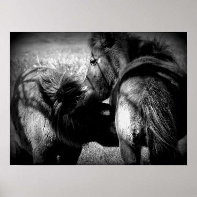 Pôster Enfermagem (Frente)