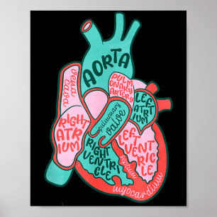 Poster Enfermeira cardíaca Cvicu Anatomia do coração huma