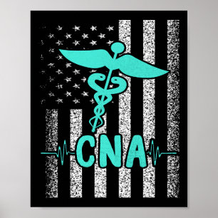 Poster Enfermeira Certified Enfermeira Istant American Fl