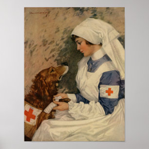 Pôster Enfermeira da guerra com golden retriever 1917 WW1