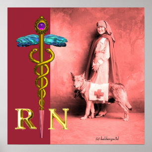 Pôster ENFERMEIRA E CÃO DE RESGATE /Emblema RN Caduceu Do