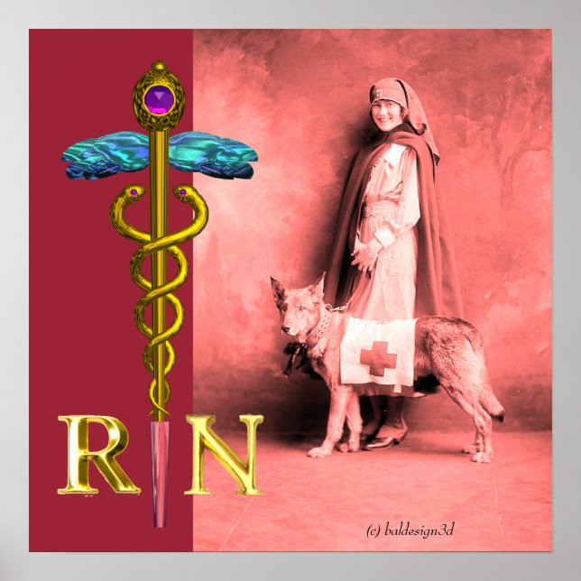 Pôster ENFERMEIRA E CÃO DE RESGATE /Emblema RN Caduceu Do (Frente)