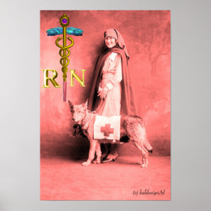 Pôster ENFERMEIRA E CÃO DE RESGATE /Emblema RN Caduceu Do