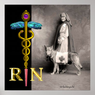 Pôster ENFERMEIRA E CÃO DE RESGATE /Emblema RN Caduceu Do