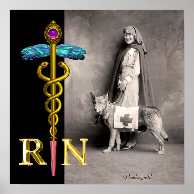 Pôster ENFERMEIRA E CÃO DE RESGATE /Emblema RN Caduceu Do (Frente)