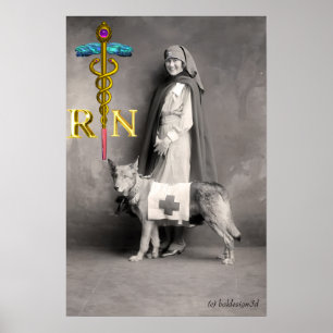 Pôster ENFERMEIRA E CÃO DE RESGATE /Emblema RN Caduceu Do