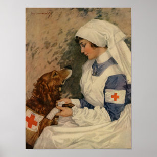 Pôster Enfermeiro de Guerra com Ouro Retriever 1917 WW1
