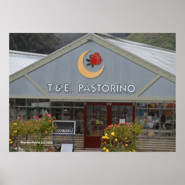 Poster Enfermeiro Flor (Frente)