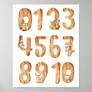 Poster Enfermeiro Rustic Number