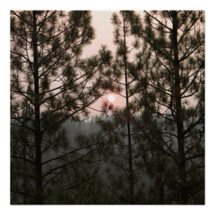 Pôster Enfumaçado Sunrise do Carr Fire 2018...