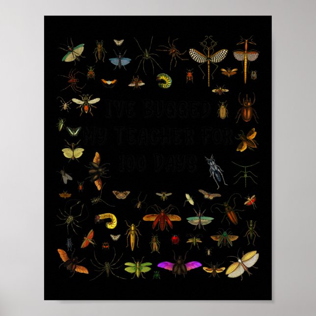 Poster Enganei Meu Professor 100 Dias De Meninos De Escol (Frente)