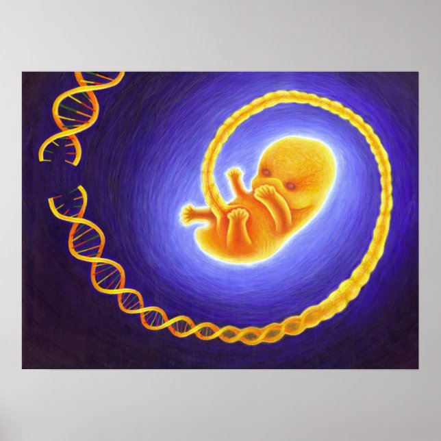 Pôster Engenharia Genética (Frente)