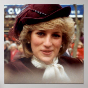 Pôster Englands Rosa