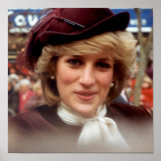 Pôster Englands Rosa