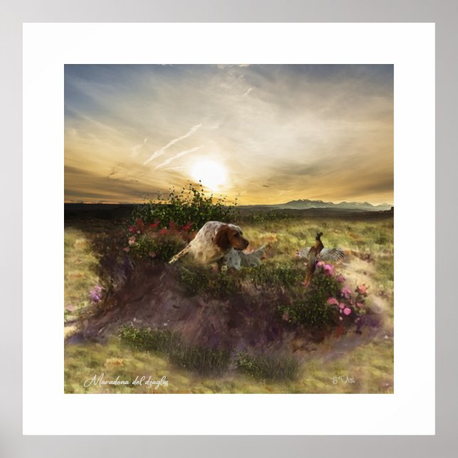 Poster English Setter , caça aos faasant (Frente)