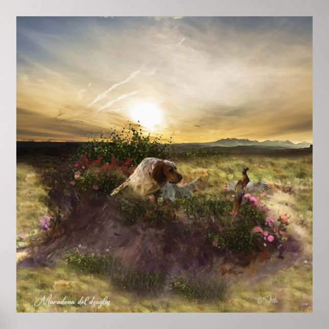 Poster English Setter , caça aos faasant (Frente)