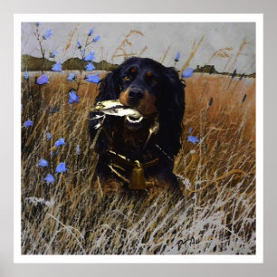 Poster English Setter, caça de pássaros