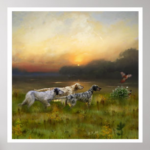 Poster English Setter, caça de pássaros