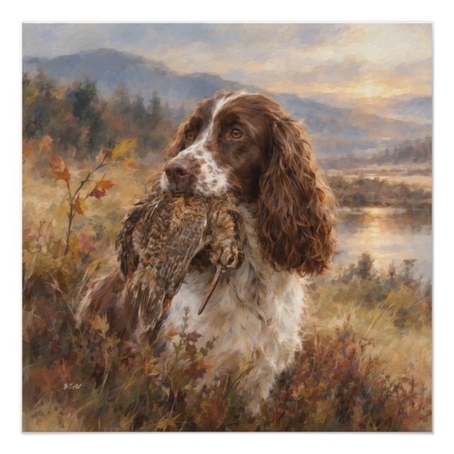 Pôster English Springer Spaniel  (Frente)