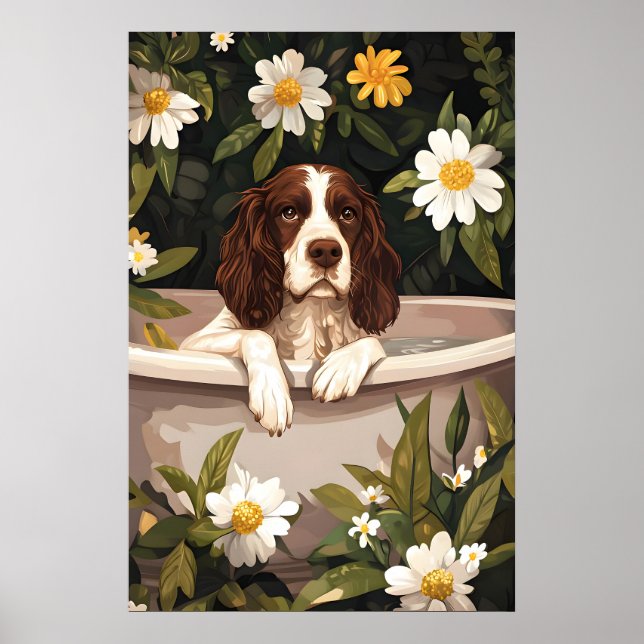 Poster English Springer Spaniel In Bathtub Poster, Funny (Frente)