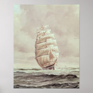 Pôster English wool clipper