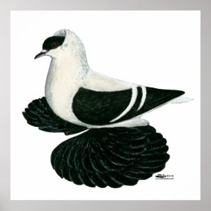 Pôster Engole: Bar Branco Negro Saxão