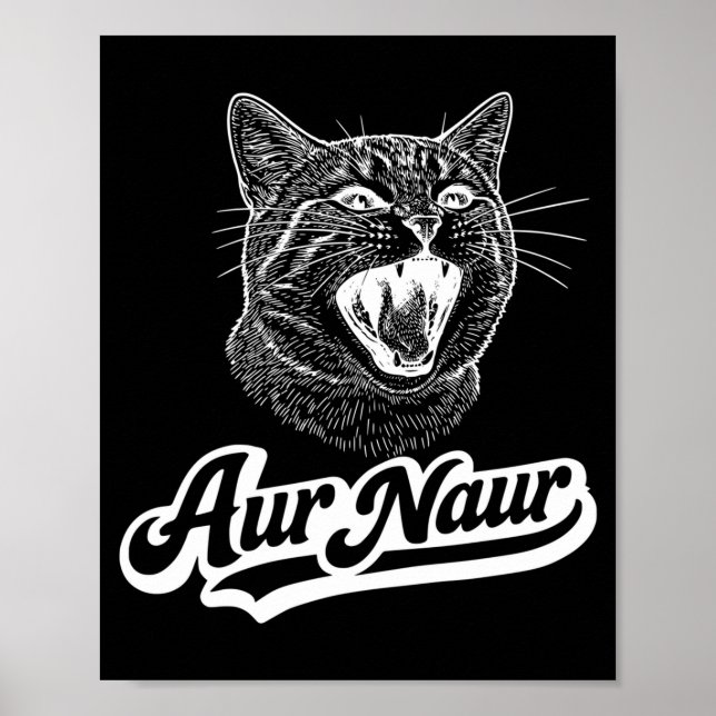 Poster Engraçado Aur Naur Gato Sarcástico Oh (Frente)