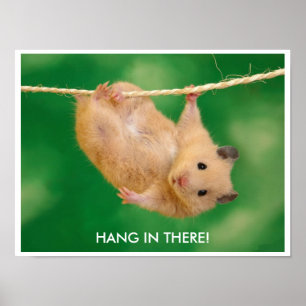 Poster engraçado & bonito do hamster
