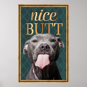 Poster Engraçado Cachorro Belo Bumbum Bathroom Wall Art