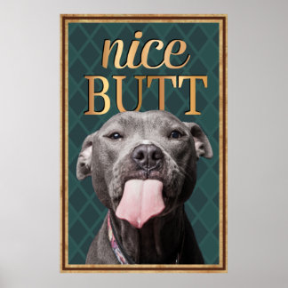 Poster Engraçado Cachorro Belo Bumbum Bathroom Wall Art